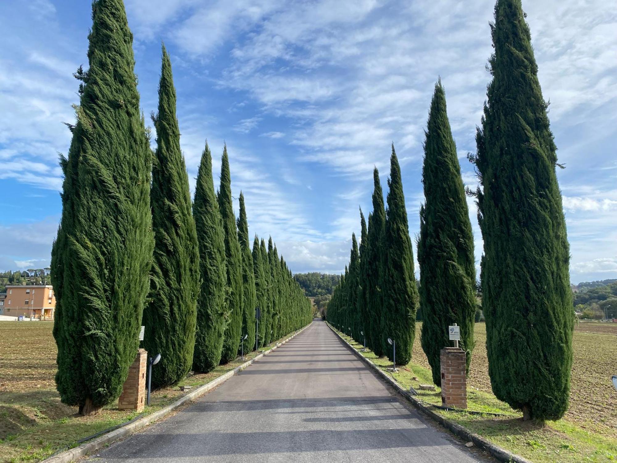 La Locanda Dei Golosi Bosco  Bagian luar foto